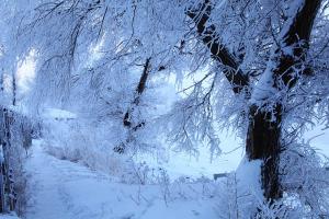 The Rime Island Sight