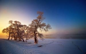 The Rime Island In Winter