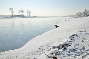 The Rime Island Ice And Snow