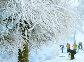 The Rime Island Photographers