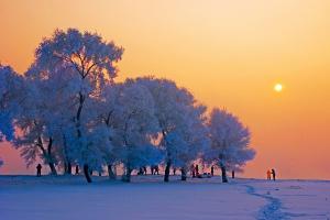 Harbin Rime Island 