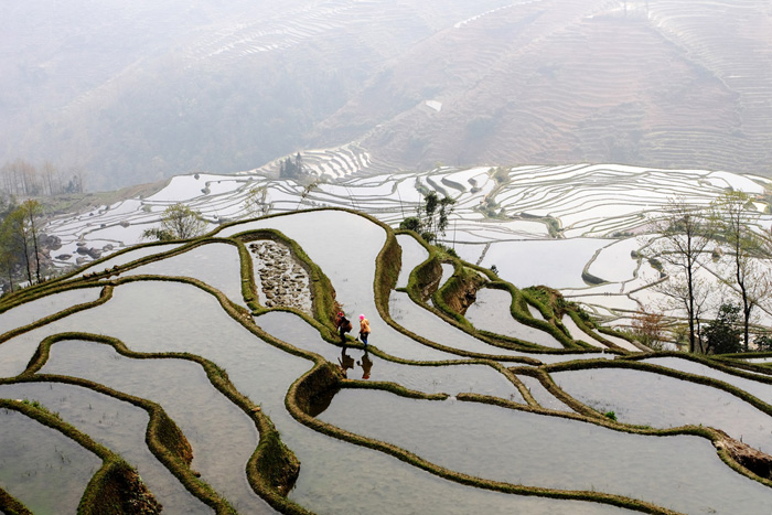 Yuanyang Rice Terraces